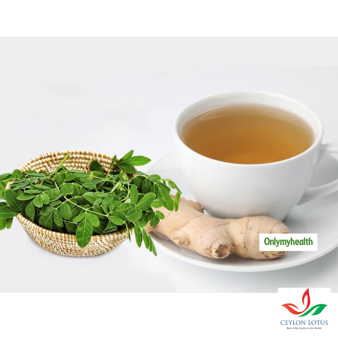 Moringa and Ginger Infusion Tea